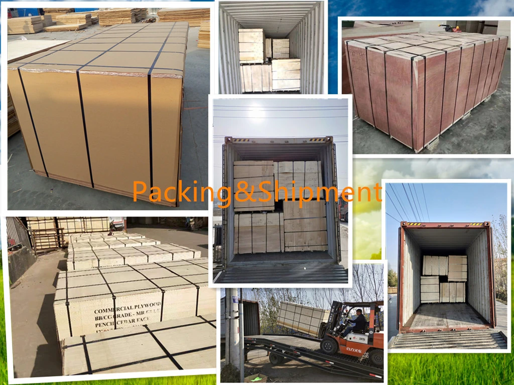 Factory Direct Sale Commercial Plywood